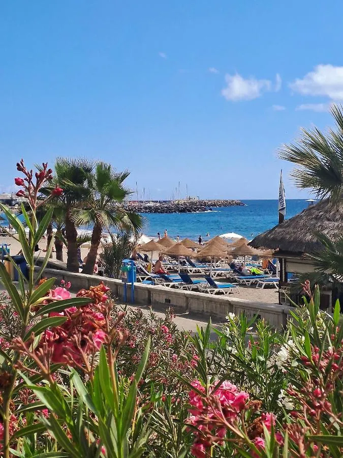 Light And Cosy Apartment In 100 Meters From The Beach Costa Adeje Costa Adeje (Tenerife)